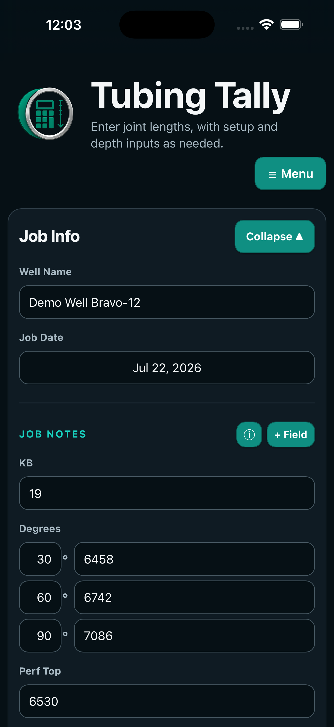Oilfield Tubing Tally Job Info screen in dark mode